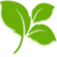 Logo MARSON TP