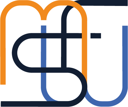 Logo MASOLUTION GESTION (MSG) (ACTION INFORMATIQUE)