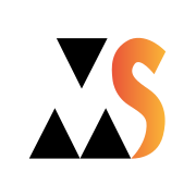 Logo MAXI SERVICES (MAXI SERVICES)