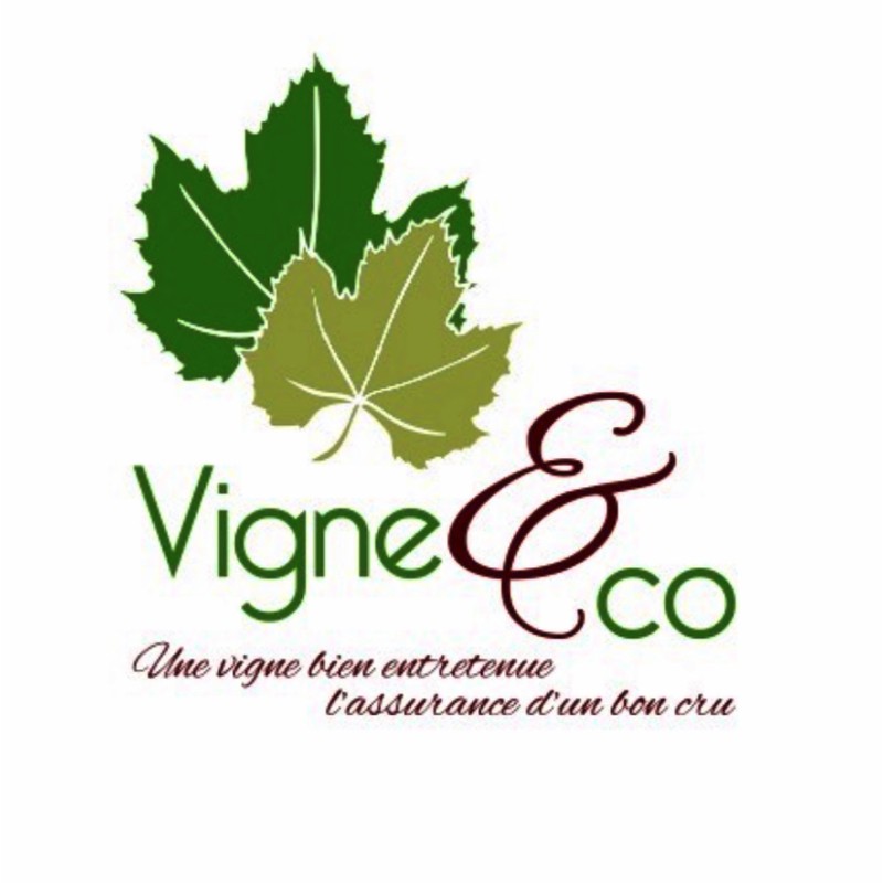 Logo MEDOC VITICULTURE