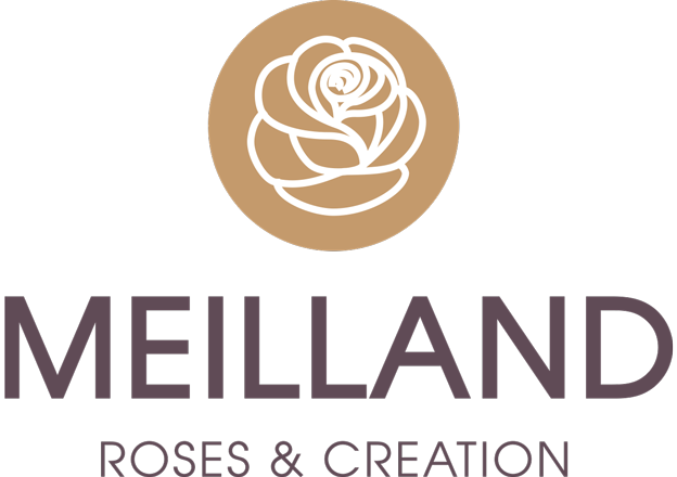 Logo MEILLAND INTERNATIONAL (MI)