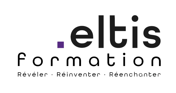 Logo MELTIS