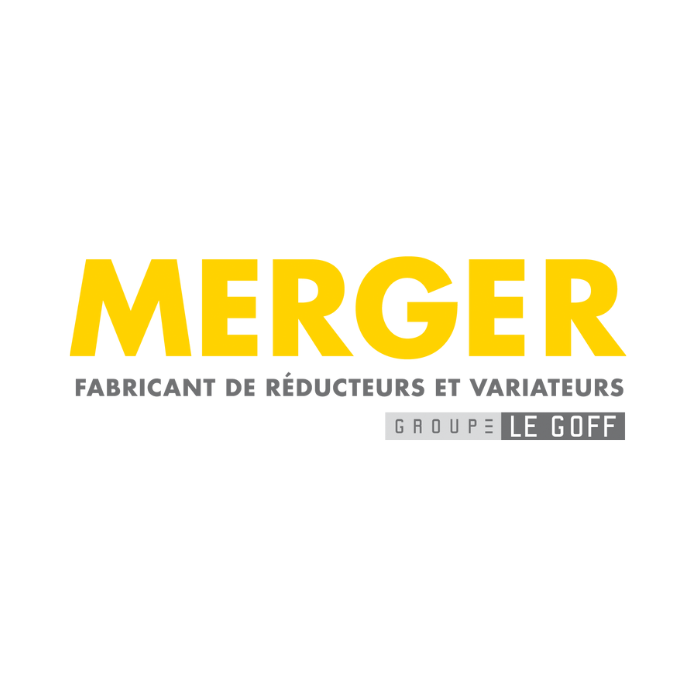Logo MERGER (MERGER)
