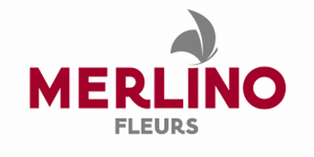 Logo MERLINO FLEURS