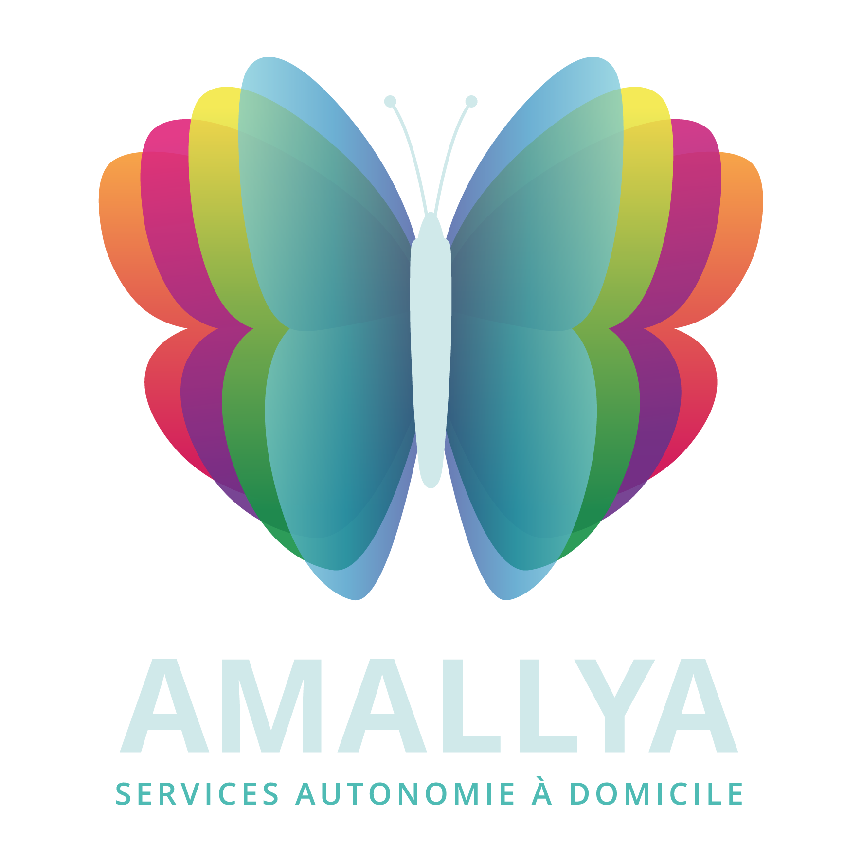Logo MES SERVICES A LA CARTE (AMALLYA)