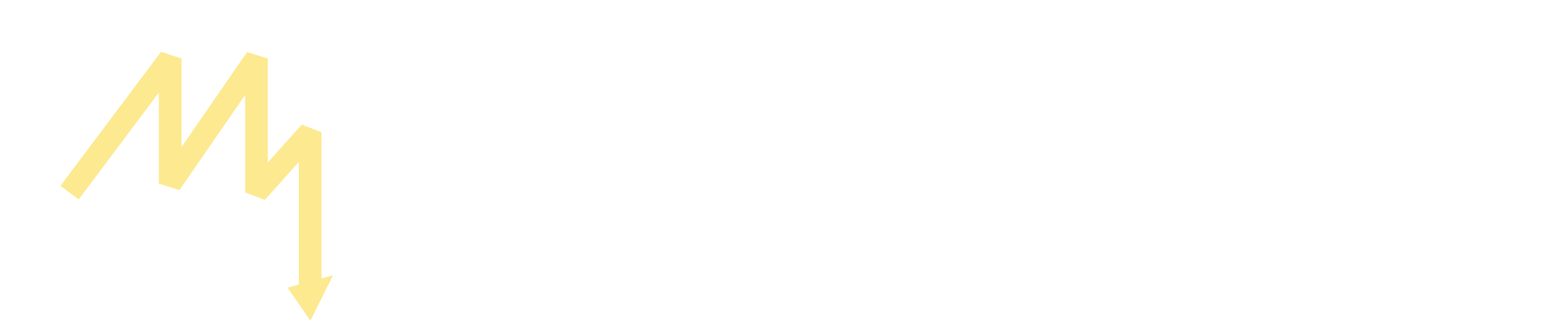 Logo METEORAGE