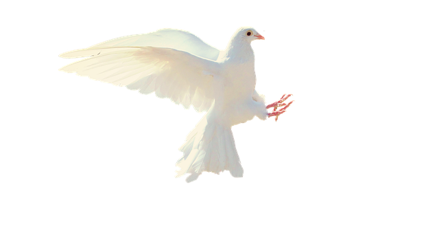 Logo MICHEL MALAURIE
