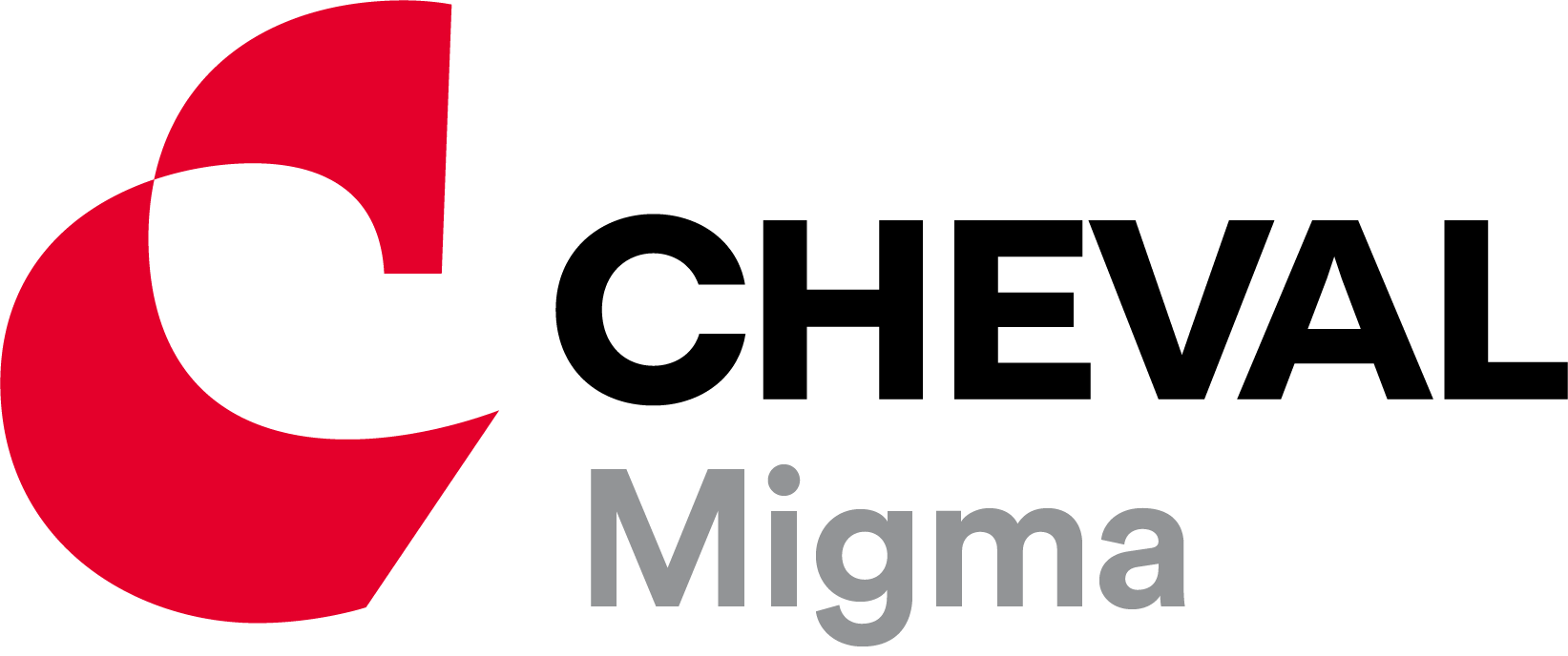 Logo MIGMA