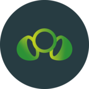Logo MODELAGE CONCEPT