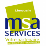 Logo MSA SERVICES LIMOUSIN