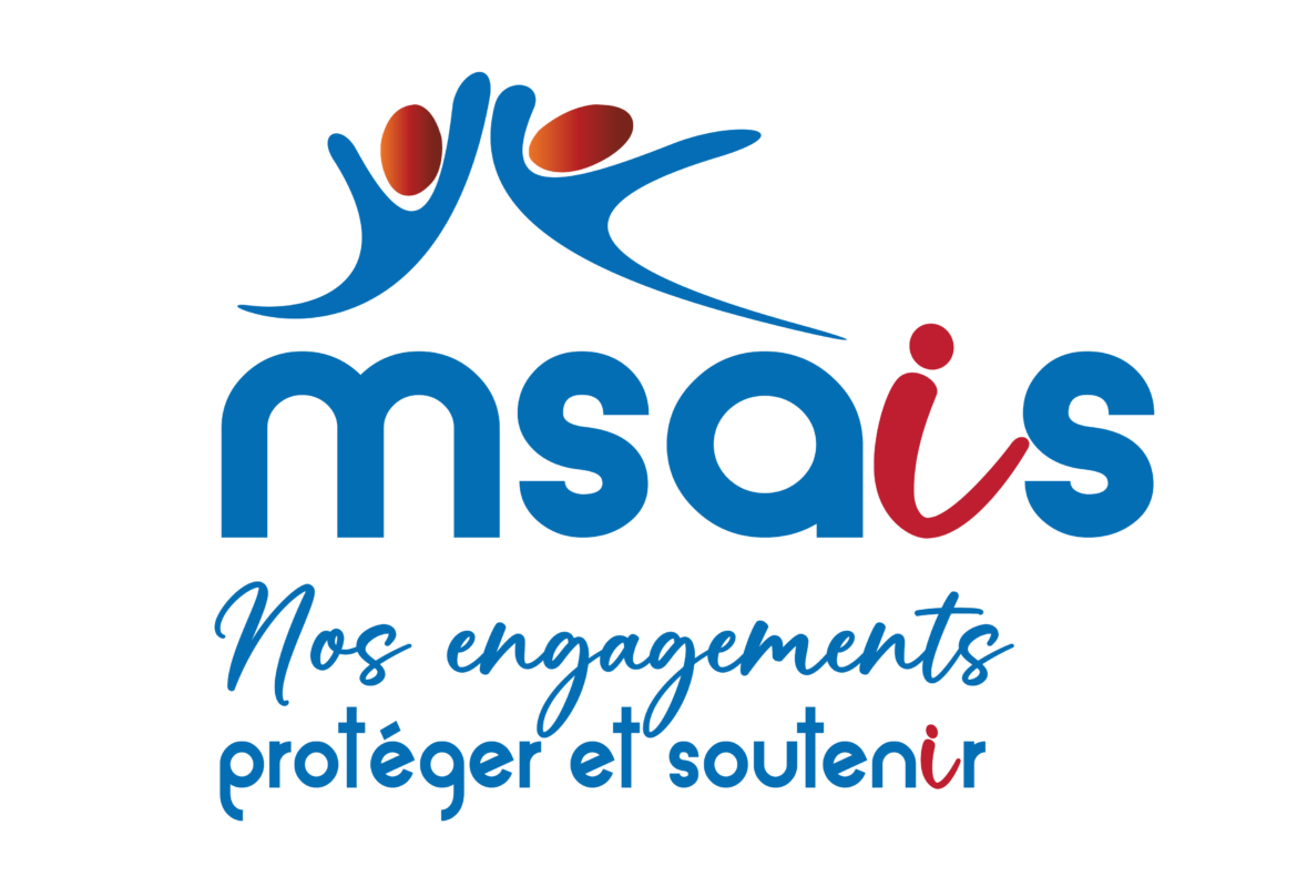 Logo MSAIS