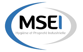 Logo MSEI