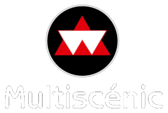 Logo MULTISCENIC