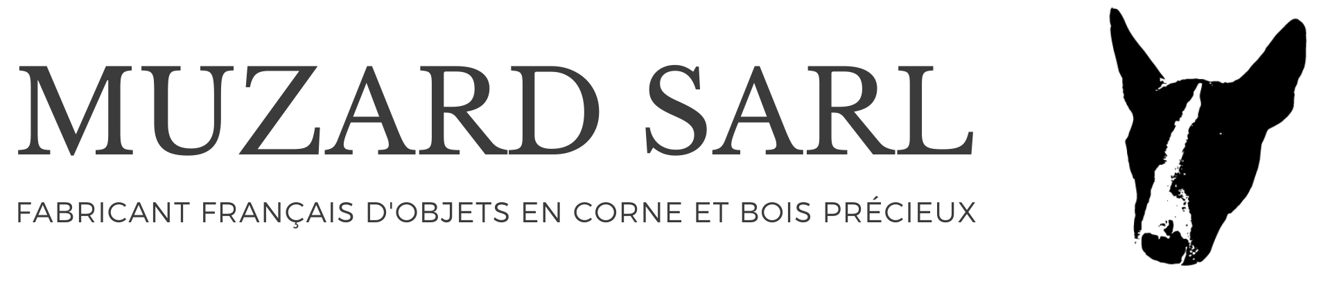 Logo MUZARD