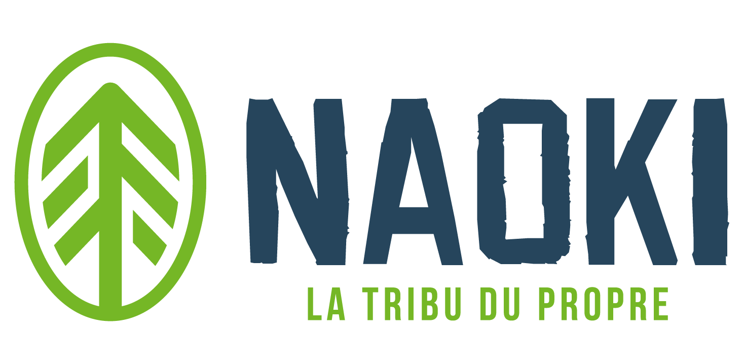 Logo NAOKI VESOUL