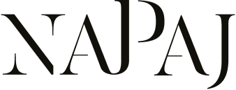 Logo NAPAJ