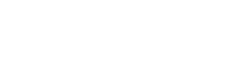 Logo NATURAL SOLUTIONS