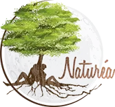 Logo NATURE&SOINS