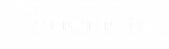 Logo NEMETIS