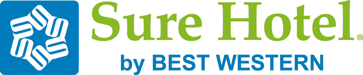 Logo NESS BORDEAUX-LAC