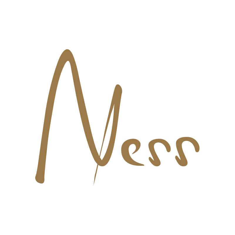 Logo NESS SAINT-GILLES