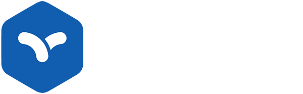 Logo NETSYSTEM (NETSYSTEM)