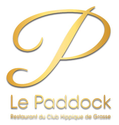 Logo NEW PADDOCK