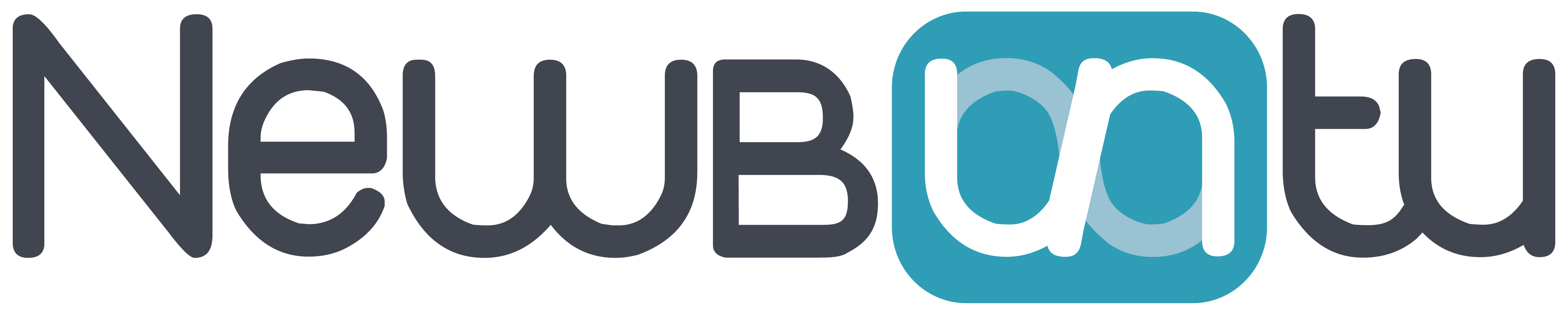 Logo NEWBUNTU