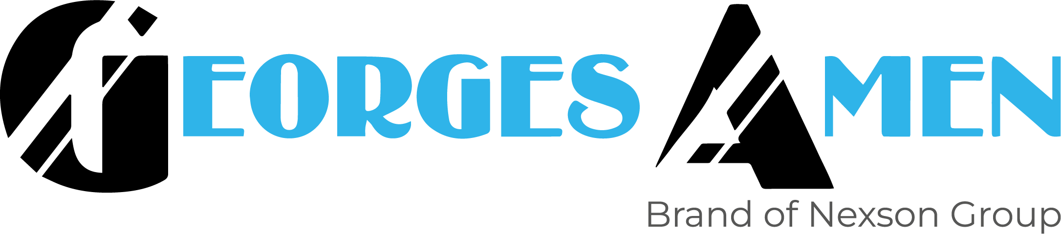 Logo NEXSON GROUP - SERVICES (GEORGES AMEN)