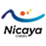 Logo NICAYA CONSEIL