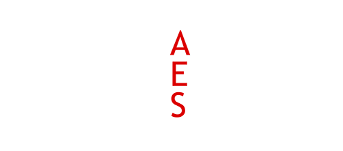 Logo NICE ALUMINIUM