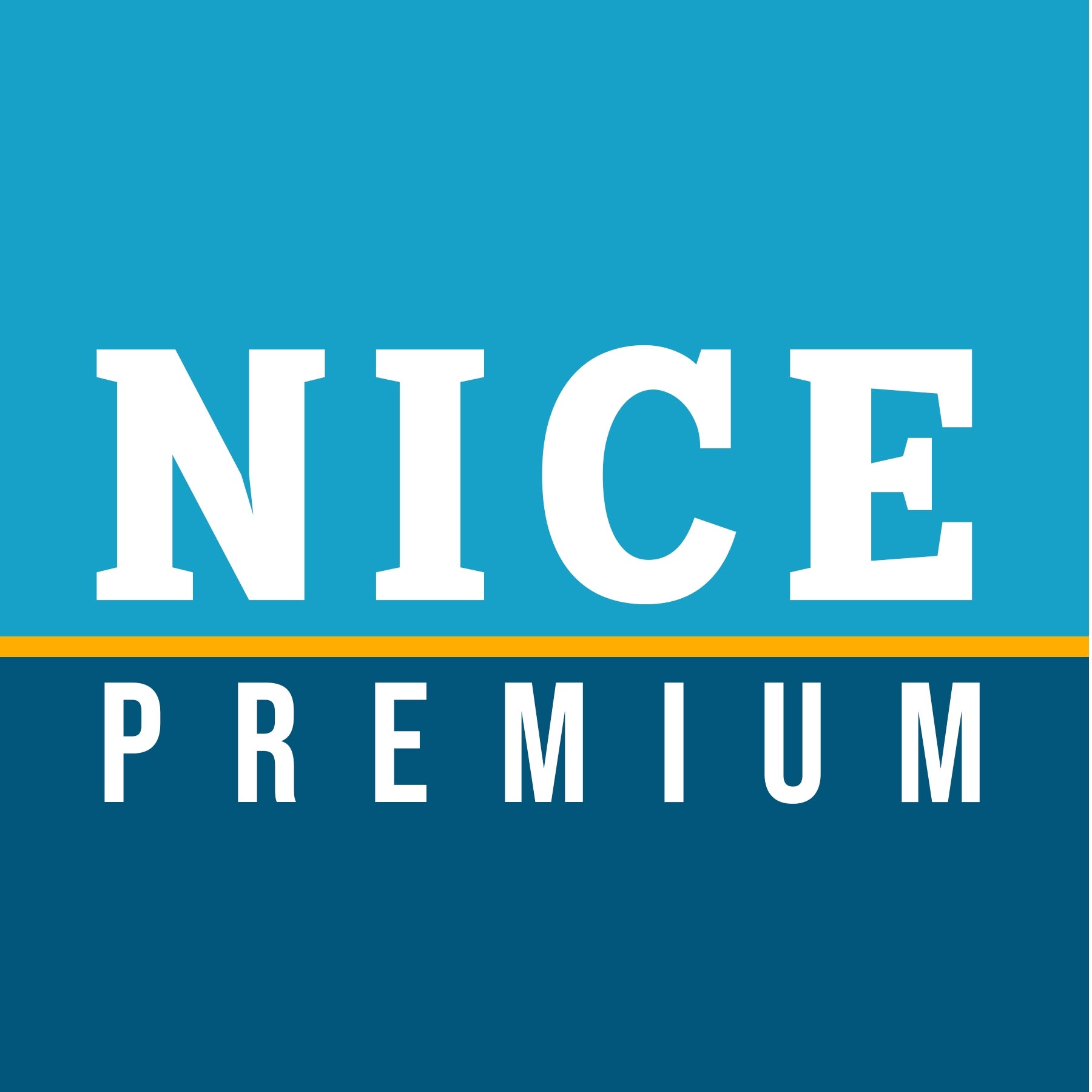 Logo NICE FRAIS