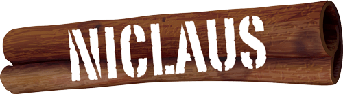 Logo NICLAUS