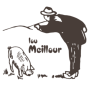 Logo NICOLAS G SALAISONS MONTAGNAC (SAMONI)