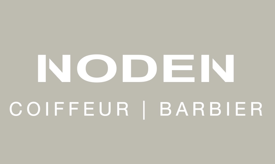 Logo NODEN