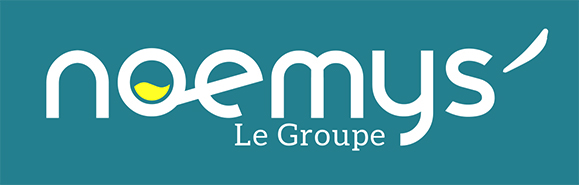 Logo NOEMYS VOYAGES