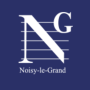 Logo NOISY TEAM