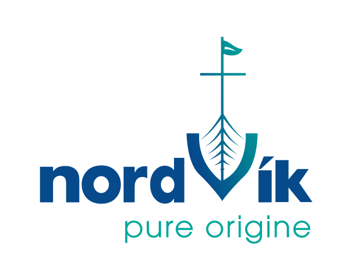 Logo NORDVIK SA