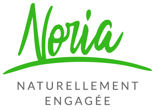 Logo NORIA