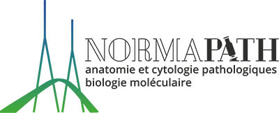 Logo NORMAPATH
