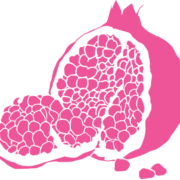 Logo NOURIAN