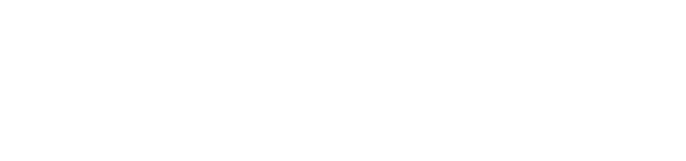 Logo NOVOLYZE