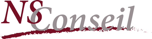 Logo NS-CONSEIL