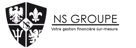 Logo NS GROUPE