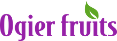 Logo O JUS DE FRUITS