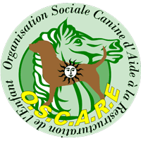 Logo O.S.C.A.R.E (OSCARE)