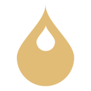 Logo ODYSSEUS PARISIENNE