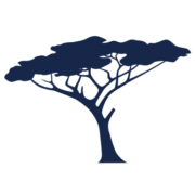 Logo OKAN PARTNERS