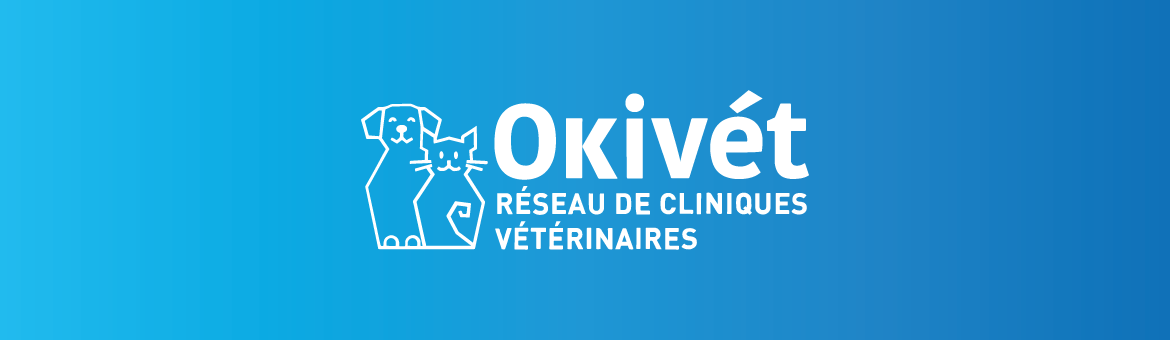 Logo OKIVET