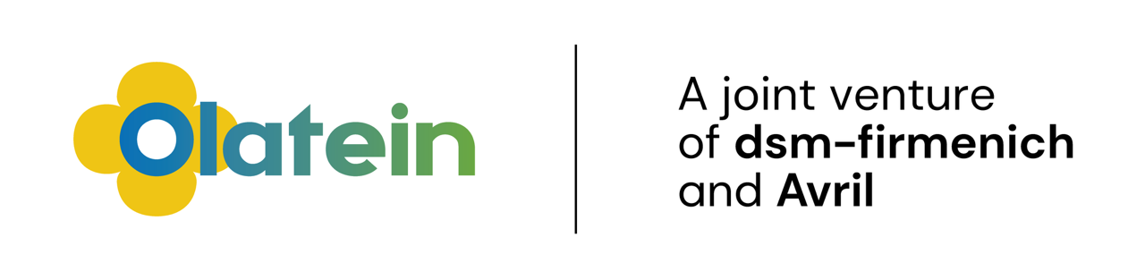 Logo OLATEIN DIEPPE SAS